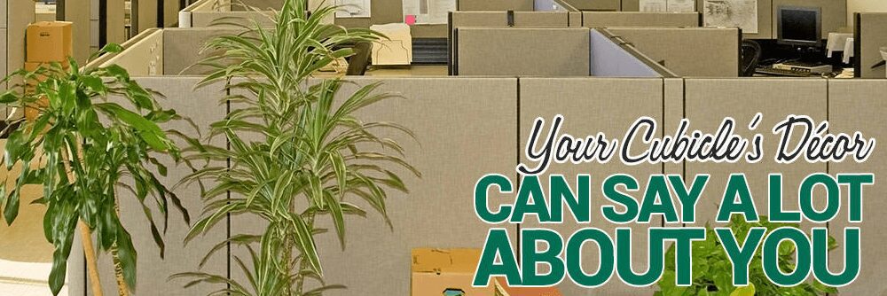 Your Cubicle’s Décor Can Say a Lot About Yo …